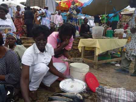 DSC00928ok DSC00928ok